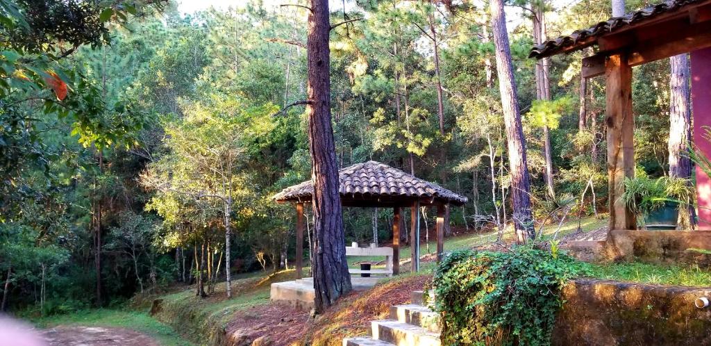 Cabañas Bosque llano de la Virgen photo 3