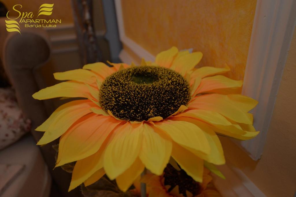 Spa Apartman Banja Luka photo 2