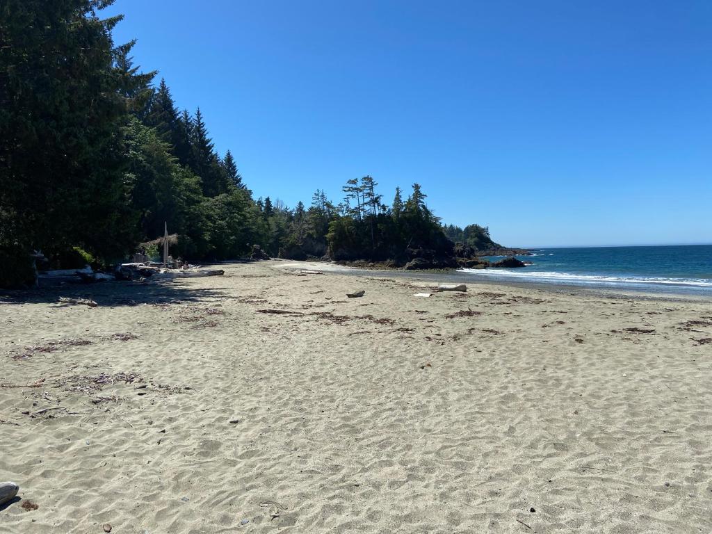 Ethan's Landing photo 3