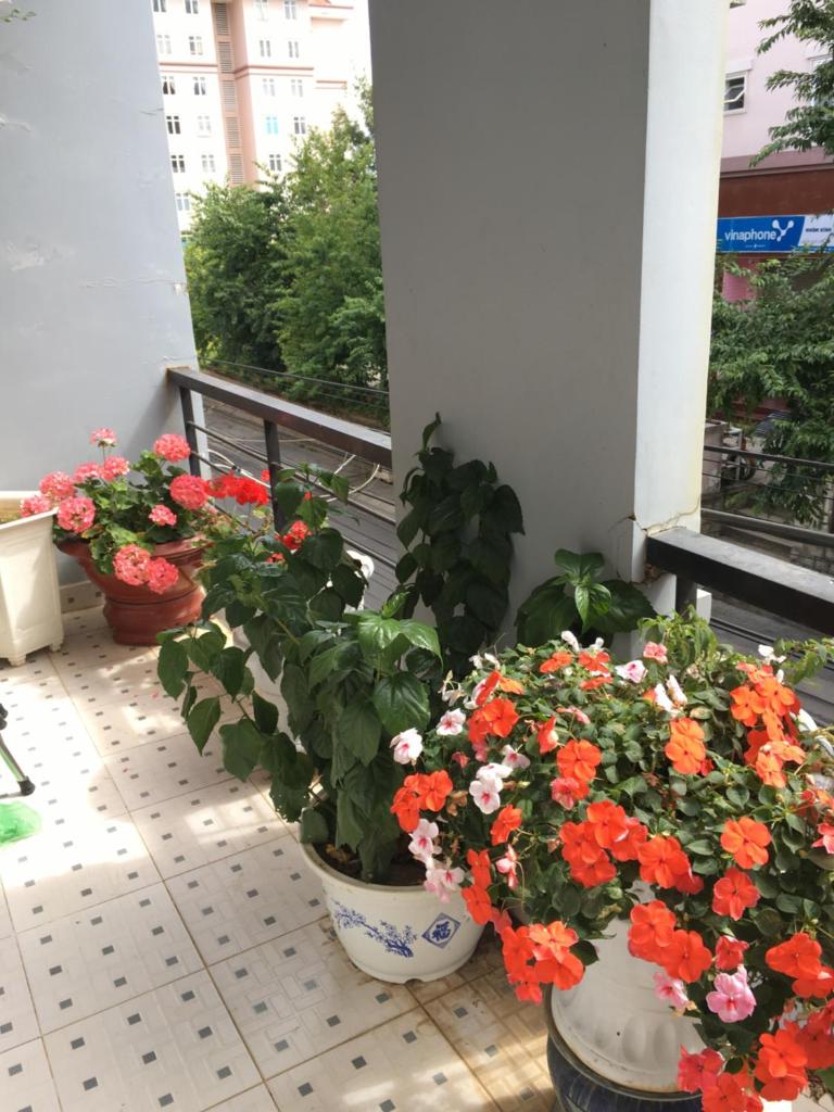 Thien Phu Guesthouse Dalat