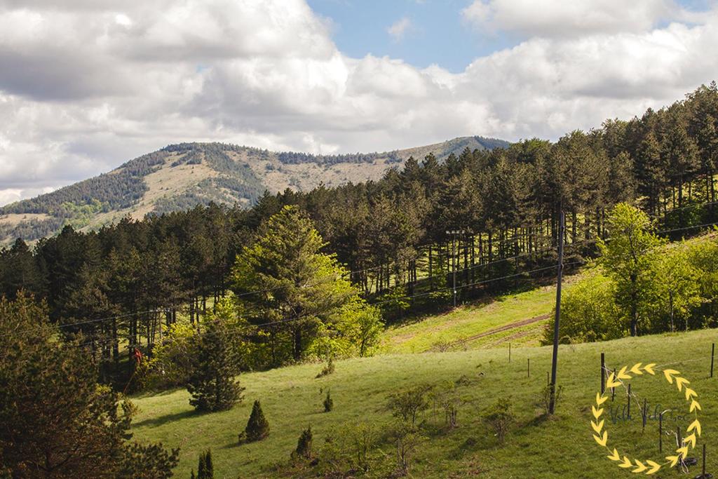 Vila Vela Goc photo 4