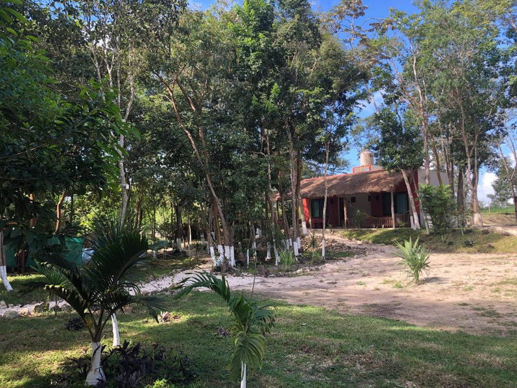 Hotel "Casa Las Lolas" photo 1