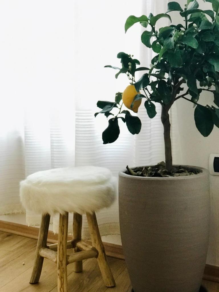 Foleza - Bed and breakfast photo 4