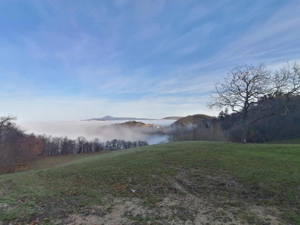 Il Castagneto photo 2