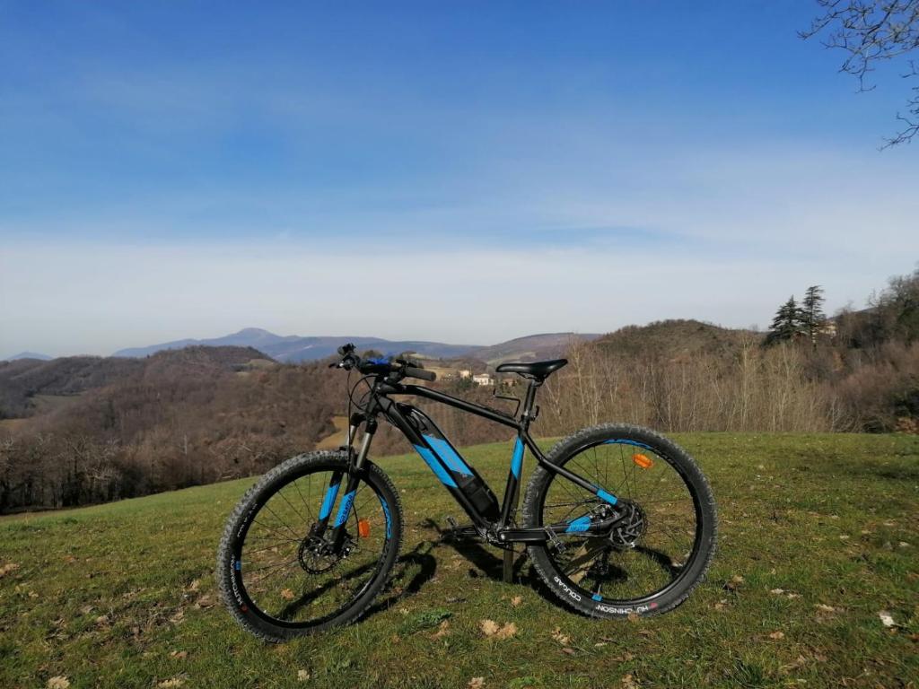 Il Castagneto photo 4