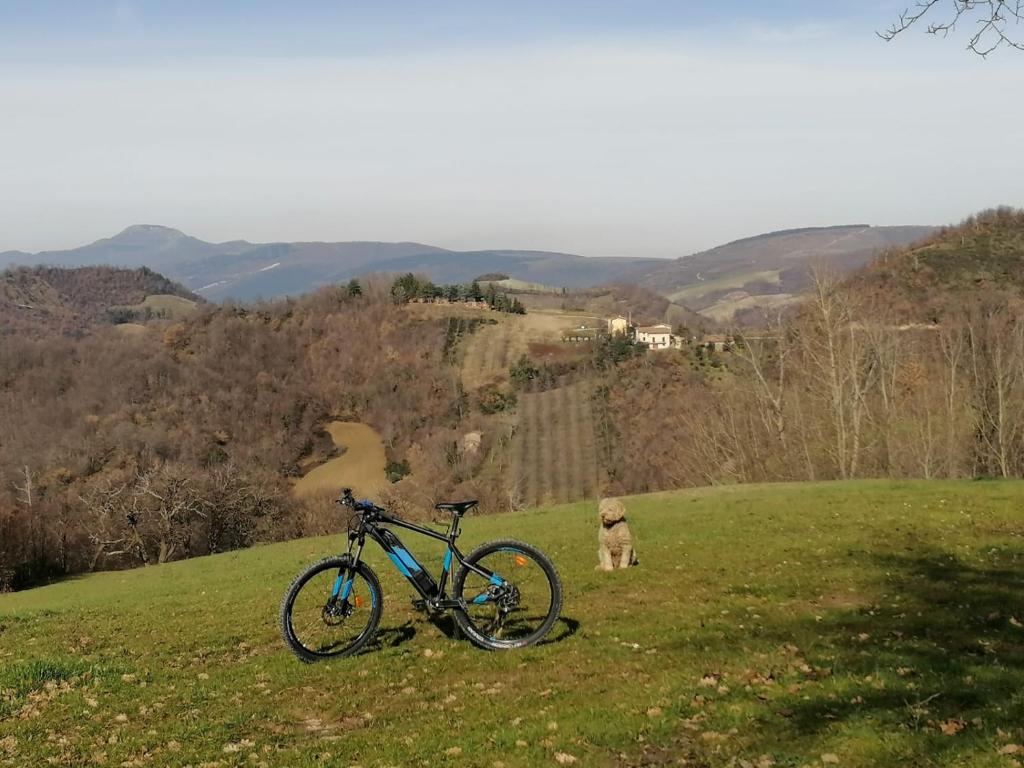 Il Castagneto photo 3