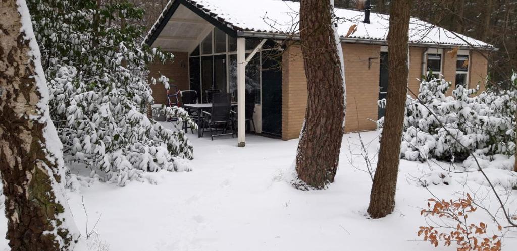 Bospark De Schaapskooi photo 3