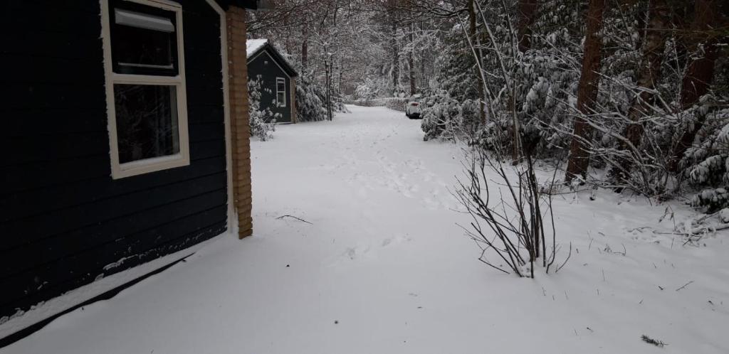Bospark De Schaapskooi photo 2