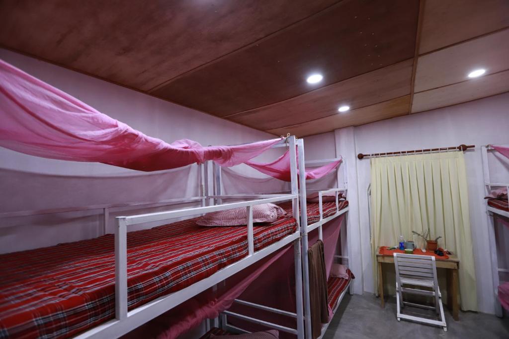 EVA HUT Mui Ne Beach Hostel