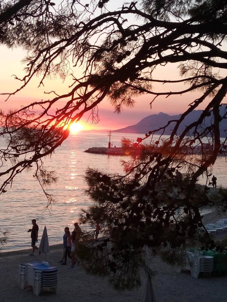 Villa Bandic photo 2