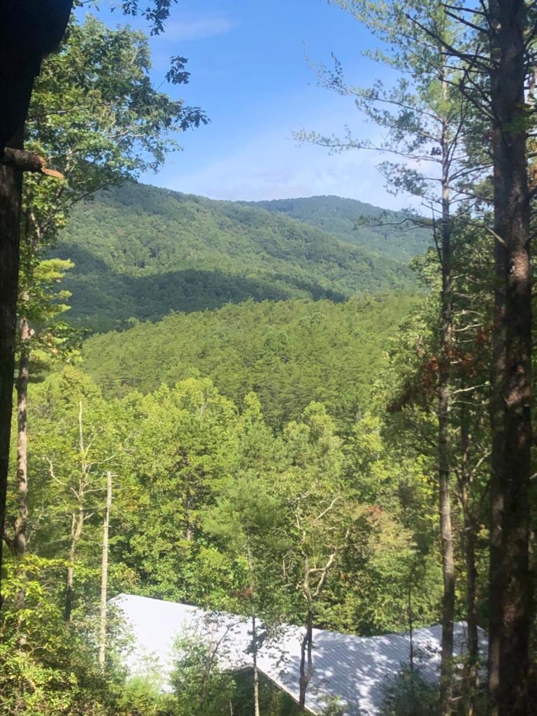 Mountain-top Cabin Get-away with Hot tub and a View photo 4