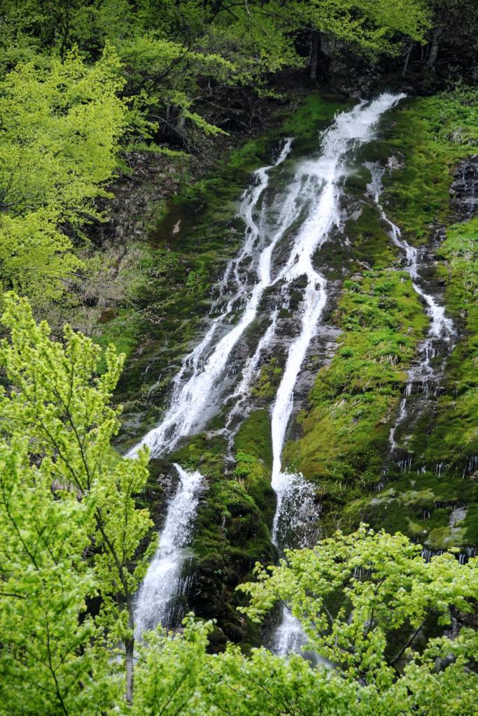 Gorska hiška Vogar nad Bohinjskim jezerom photo 4