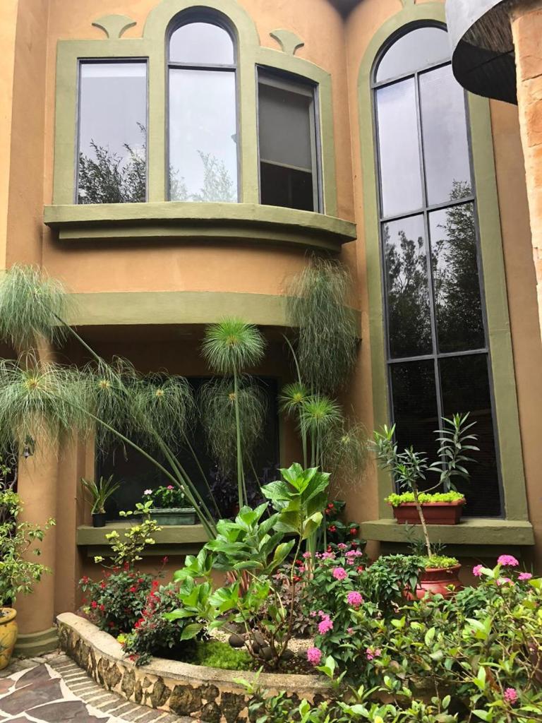 Casas del Toro photo 1