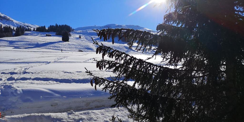grosses Ferienhaus mit Sauna im Skigeb. Obersaxen photo 2