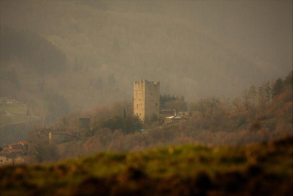 La Casina photo 3