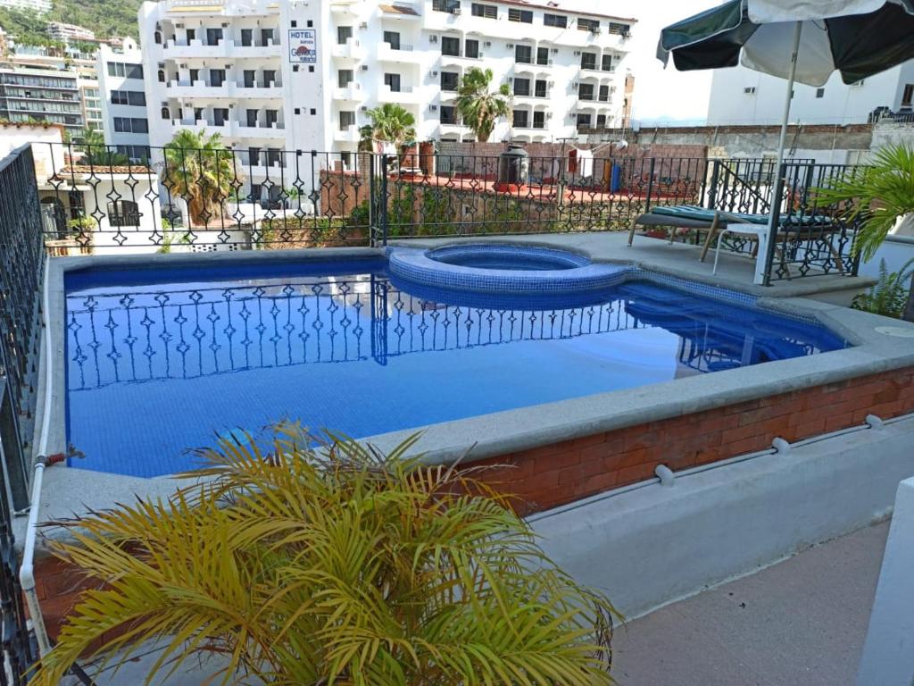 Vallarta Jr Suites photo 2
