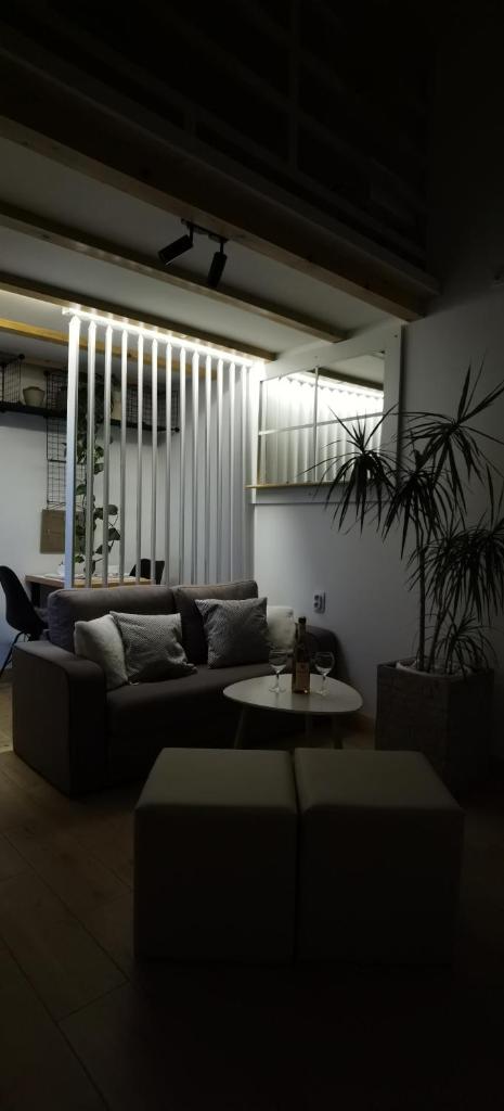 Zona Apartments 1 photo 1