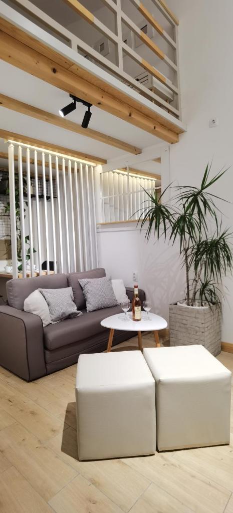 Zona Apartments 1 photo 2