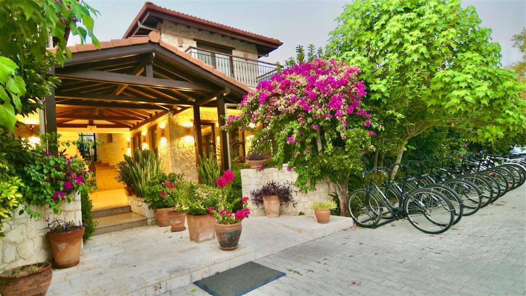 Renka Hotel & Spa photo 1