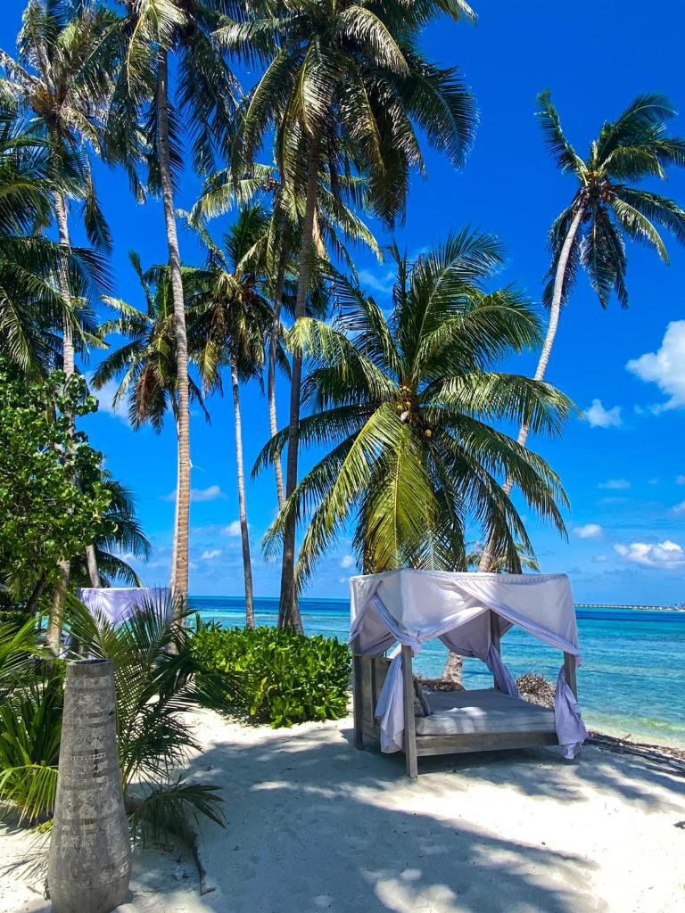Samura Maldives Guest House Thulusdhoo photo 1