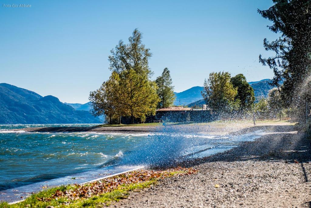 CAMPING LA BREVA photo 4