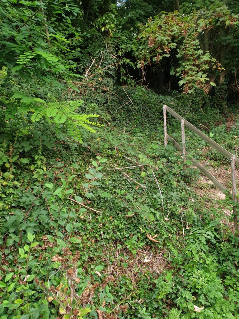 À flanc de colline photo 2