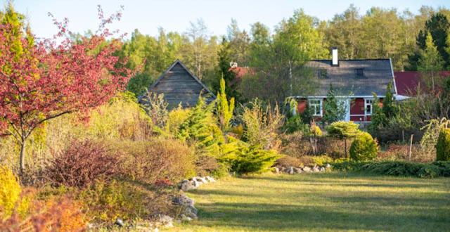 Hundi puhkemaja photo 2