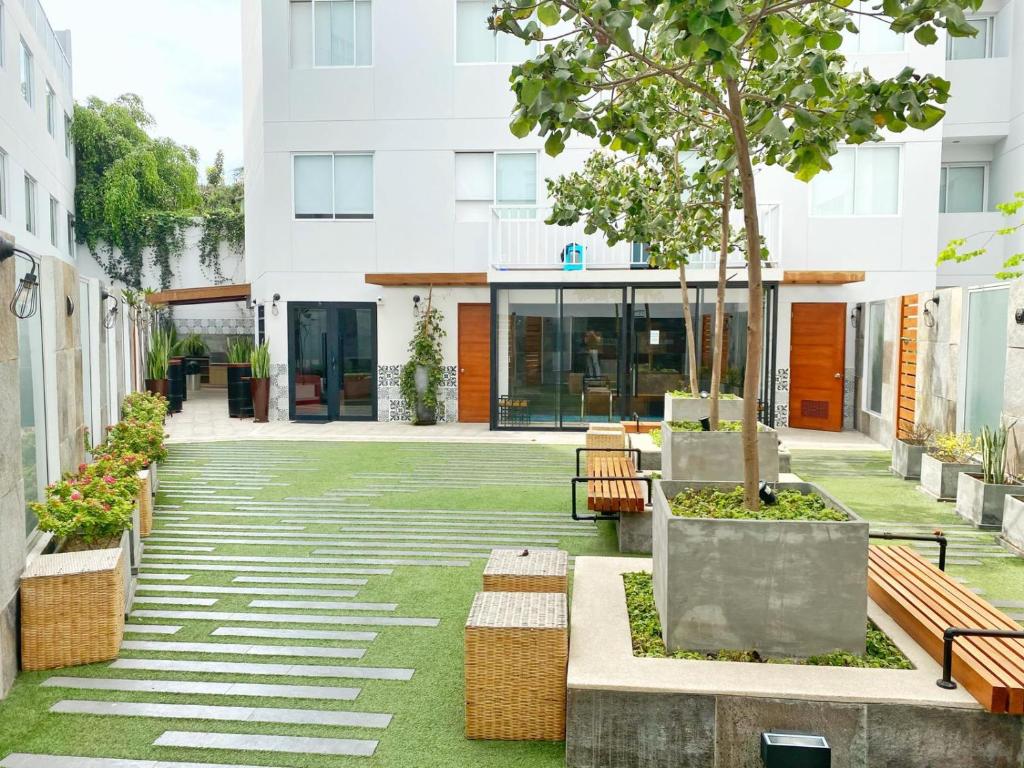 Osma by Wynwood House