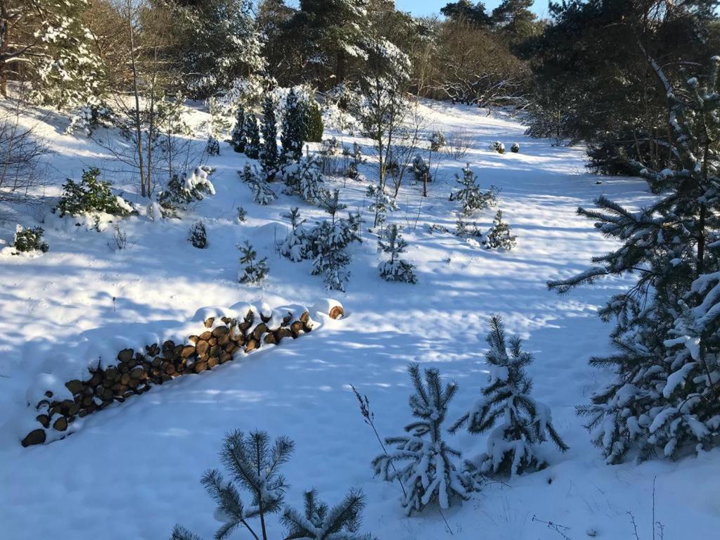 Het krekeltje photo 1