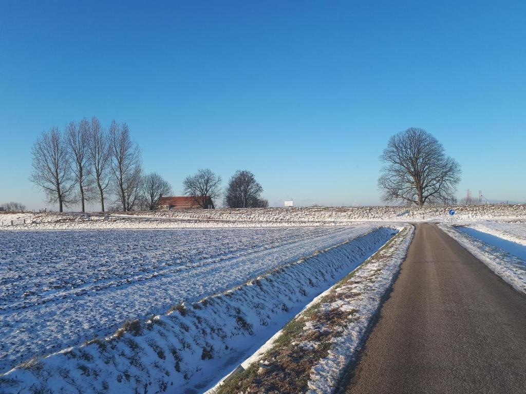 Bie Oans Oefje photo 4