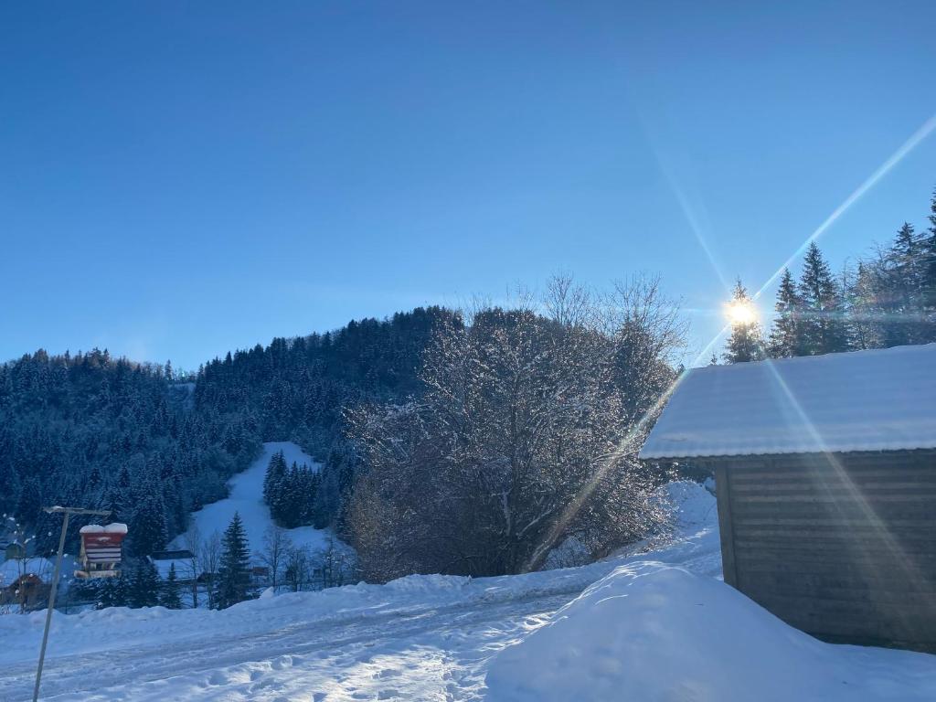 Apartma Jure photo 3