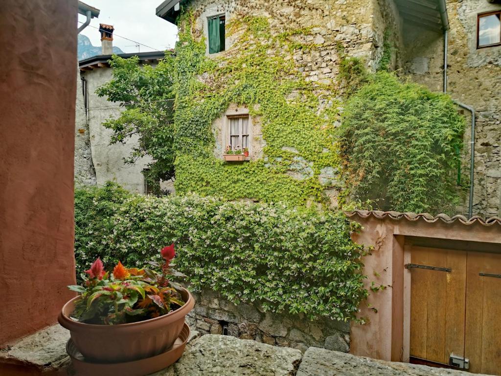 Alla Torre del Barbarossa B&B FORESTERIA photo 2