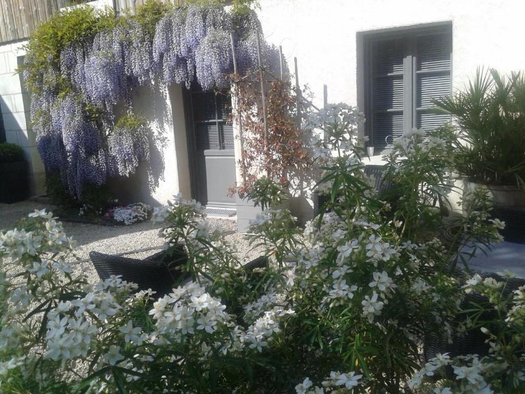 Chambres d'Hôtes Rue du Poids photo 4