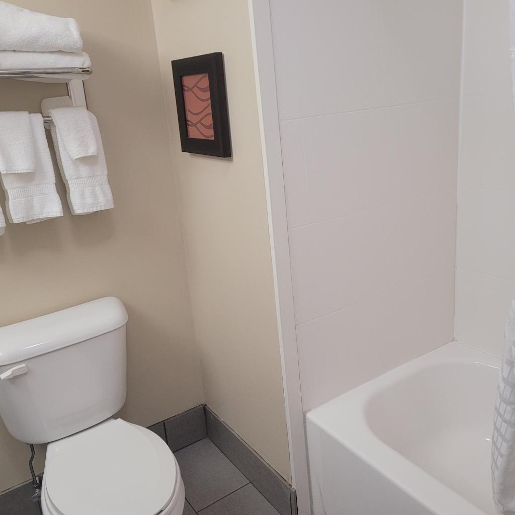 Comfort Inn Altoona-Des Moines photo 3