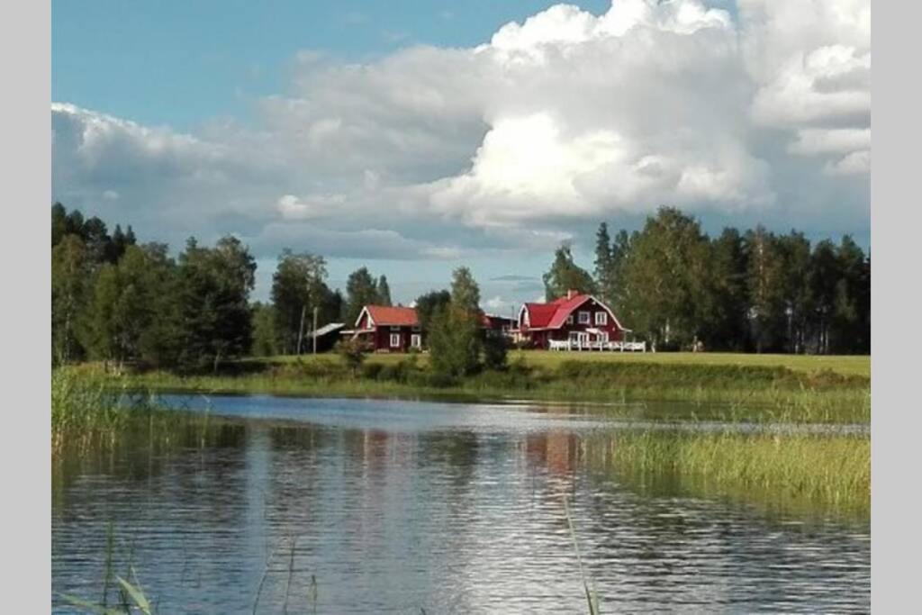 Gammal Stugan SKOGSFEEN