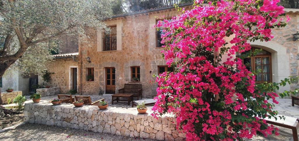 Agroturisme Finca Sa Maniga photo 4