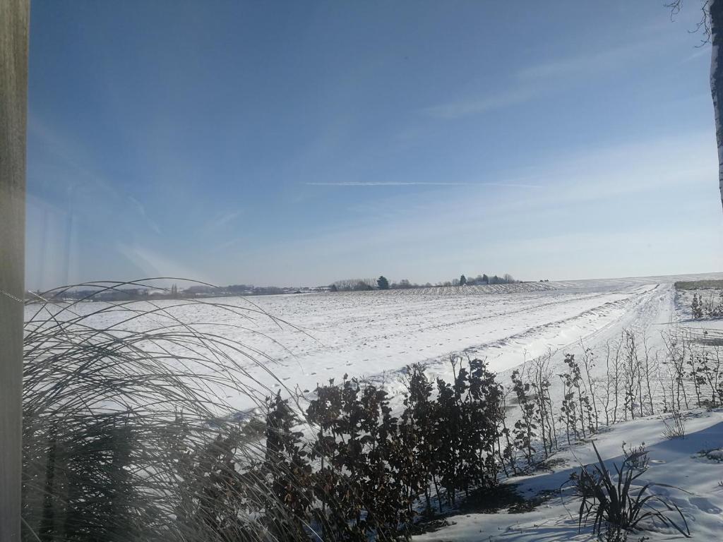 B&B Meulecauter photo 4