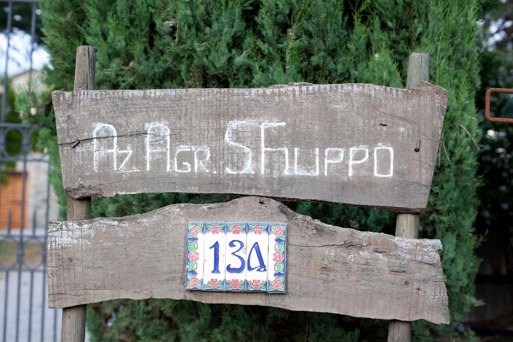 Tenuta San Filippo photo 1