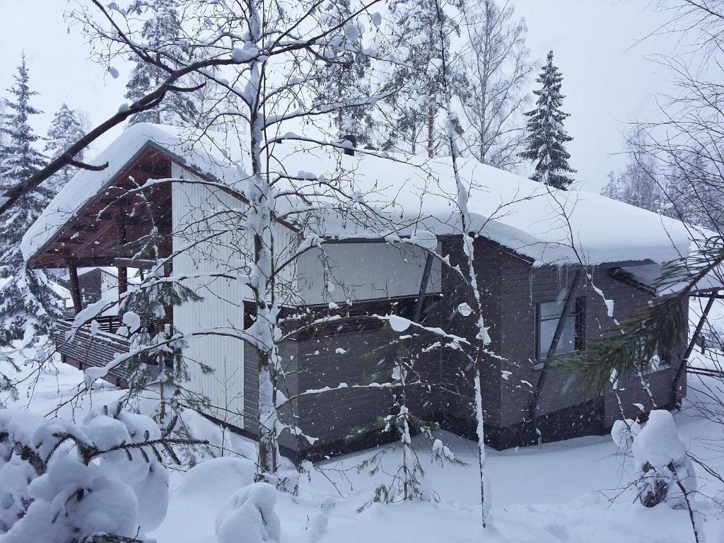 Saimaa Style Spa Chalet photo 3
