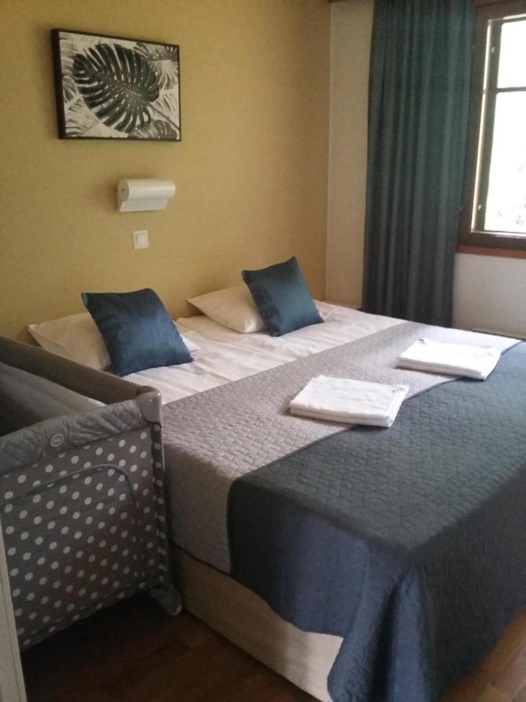 Saimaa Style Spa Chalet photo 1