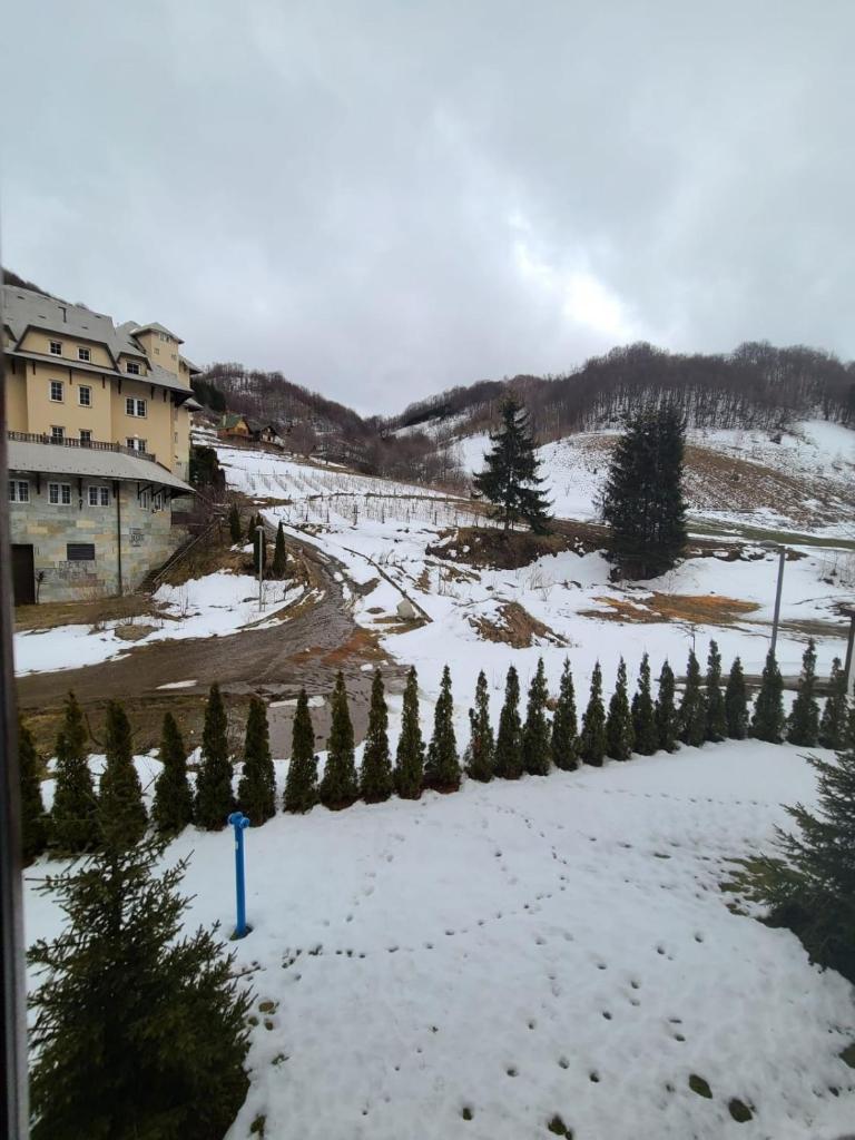 BELI VUK - Brzeće, Kopaonik photo 3