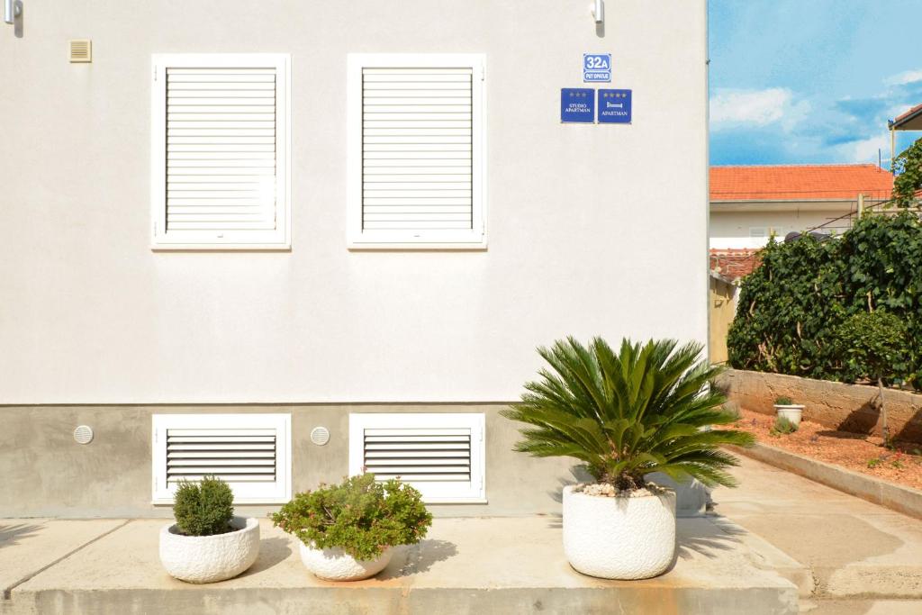 Villa Maros photo 4
