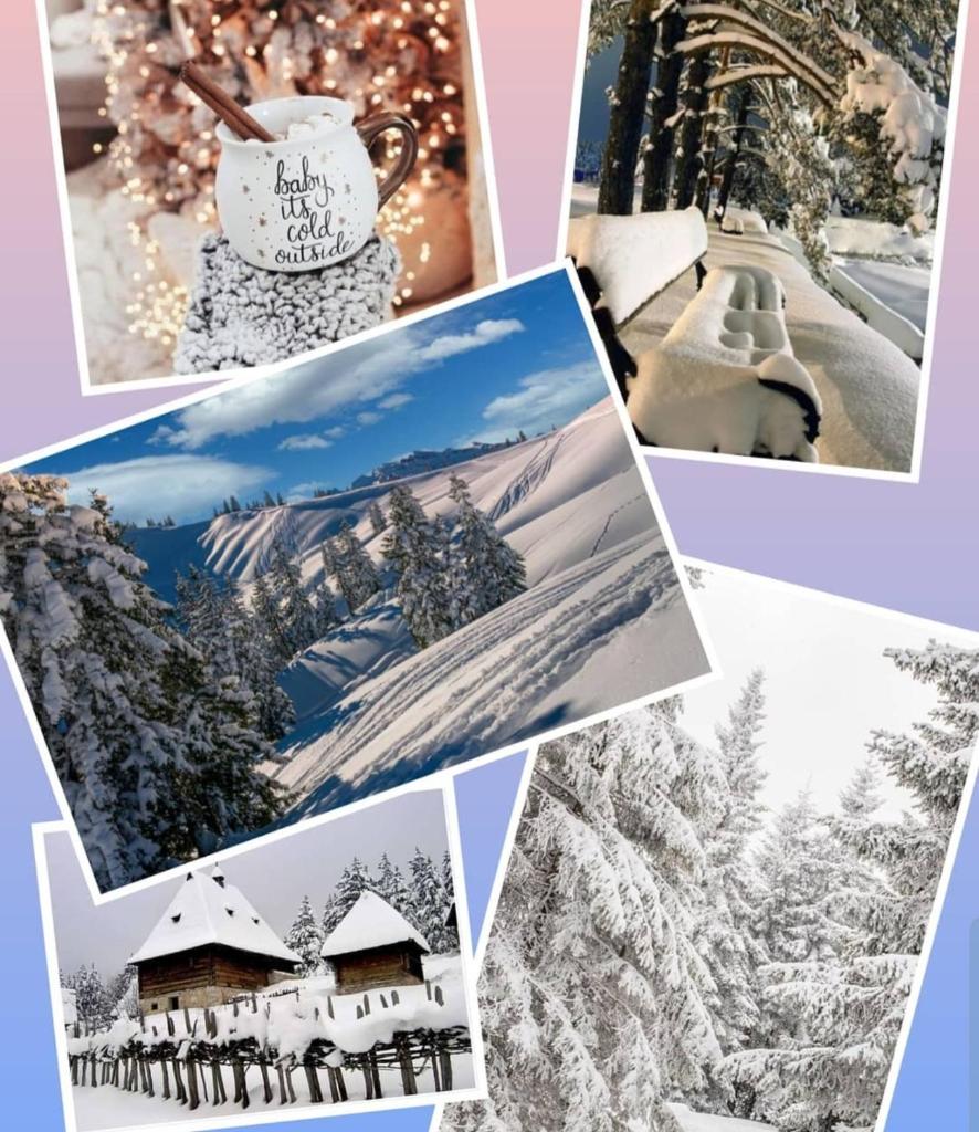 Zlatibor Hills Royal photo 4