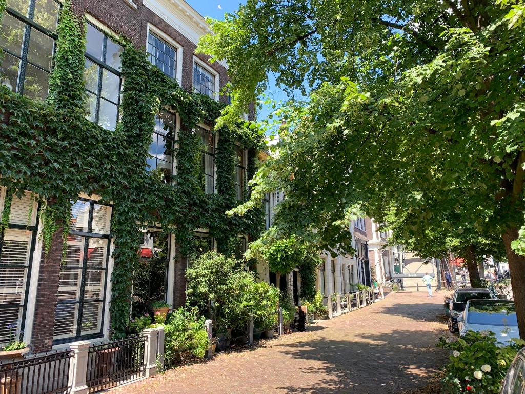 't hart van Schiedam photo 1