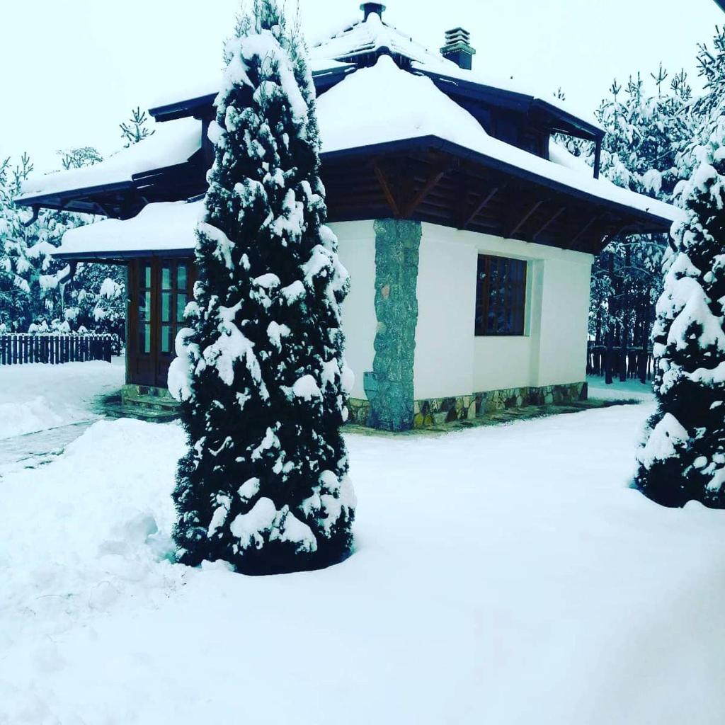 Vila Panić Zlatibor photo 3