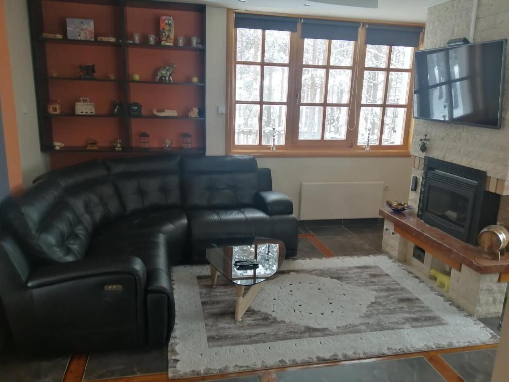 Vila Panić Zlatibor photo 2