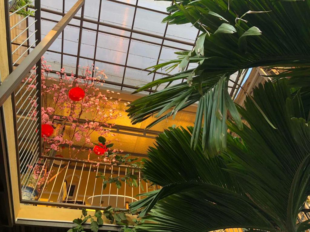 Апартаменты (Апартаменты с видом на сад), Q' Garden Homestay Villa