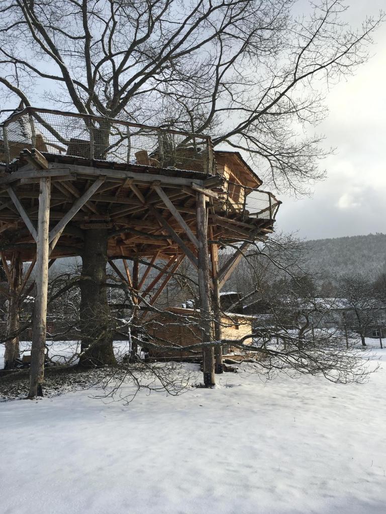 Gaïa - Les Cabanes du Chêne Rouvre photo 4