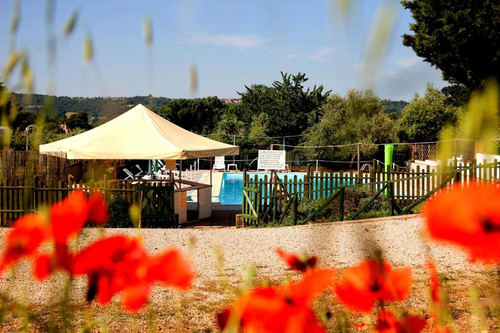 Agriturismo Il Belvedere Country Houses photo 1