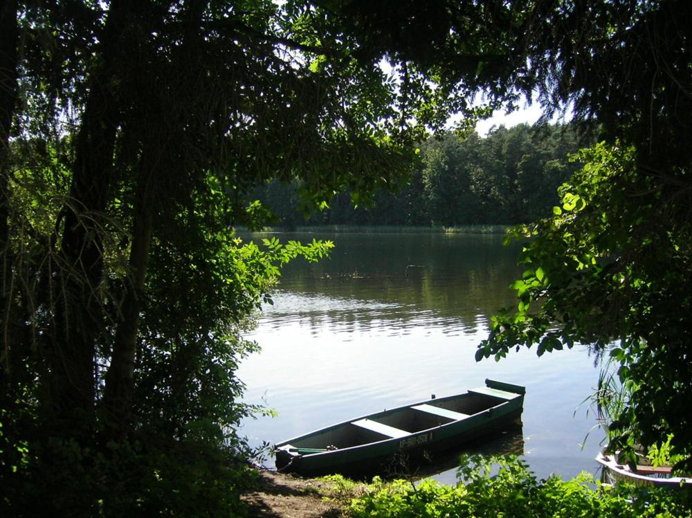 Luxury Lakehouses in Brodnica Lake District photo 3